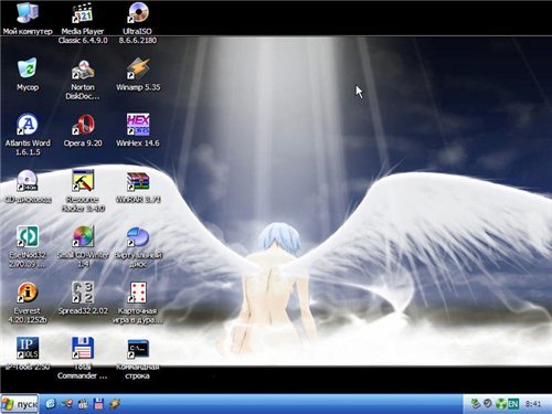 Live CD Windows XP скачать